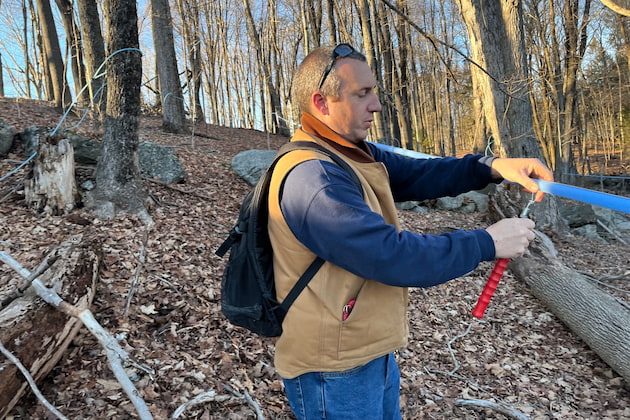 Maple Wood Tapping Stick